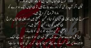 Kia Aap Jantay Hain Ke Agr Aap Aik Bartan Main 100 Kali Chionityan