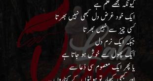 Tum Mujhy Hamesha Naram Dil Walon Ki Qataar Mai